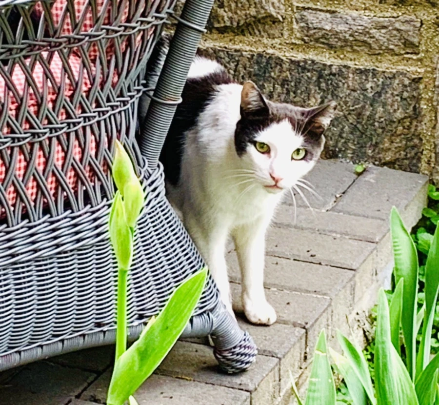 IMG_9202.jpg?type=w966