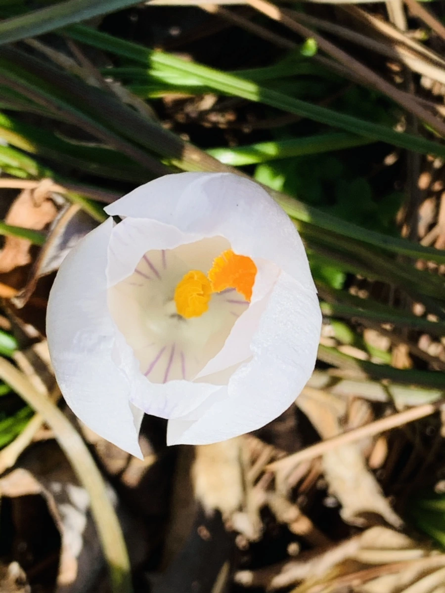 IMG_3301.jpg?type=w966