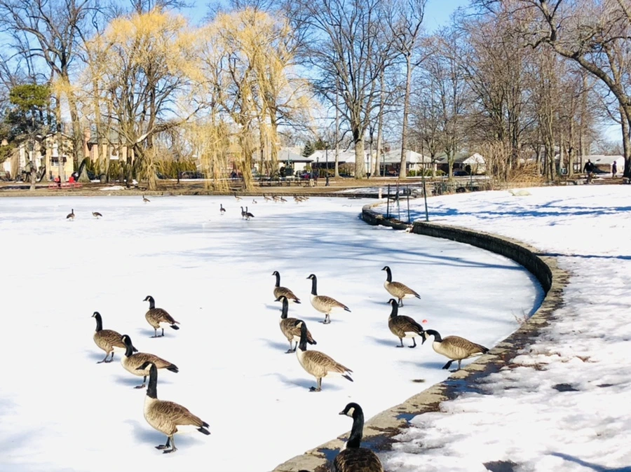 IMG_4935.jpg?type=w966