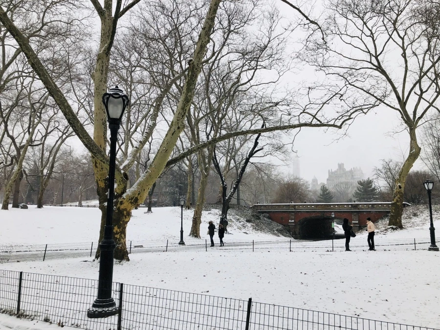 IMG_9545.jpg?type=w966