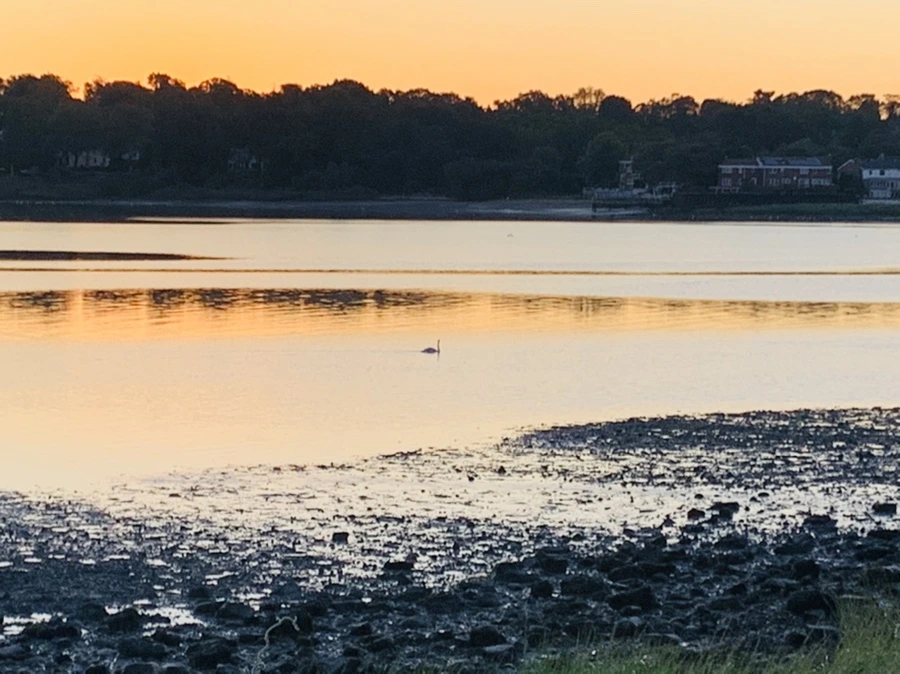 IMG_8559.jpg?type=w966