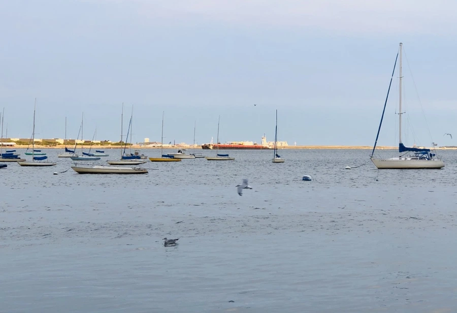 IMG_0640.jpg?type=w966