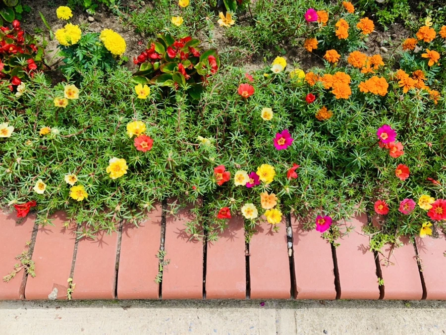 IMG_0657.jpg?type=w966