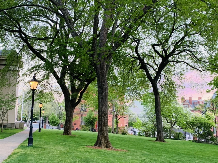 IMG_2568.jpg?type=w966