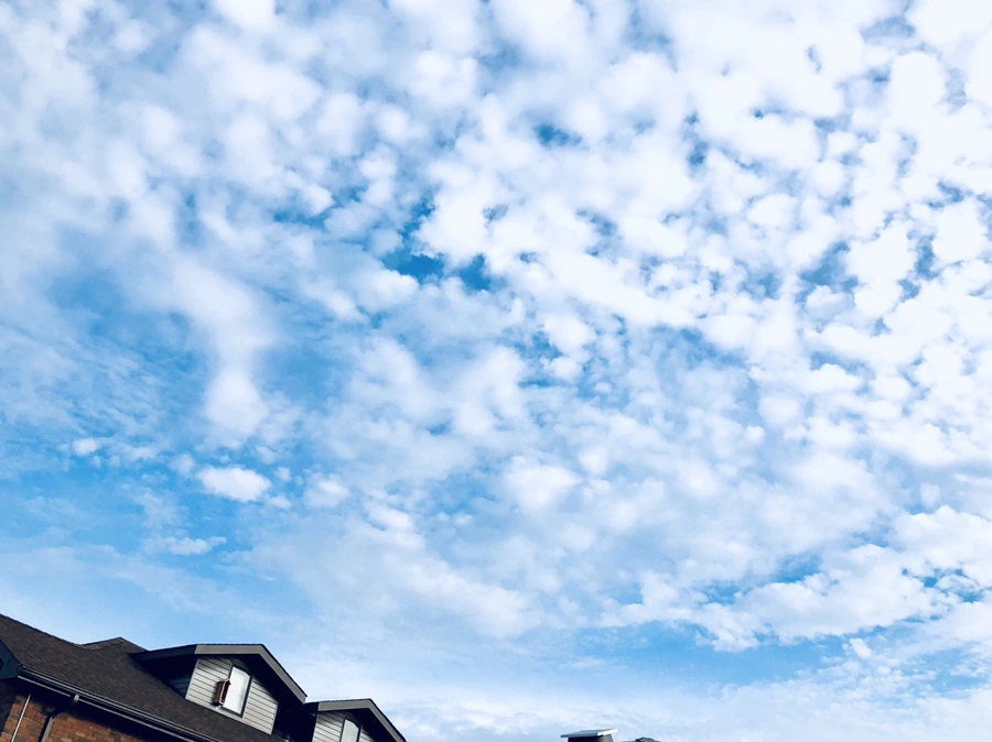 IMG_0453.jpg?type=w966