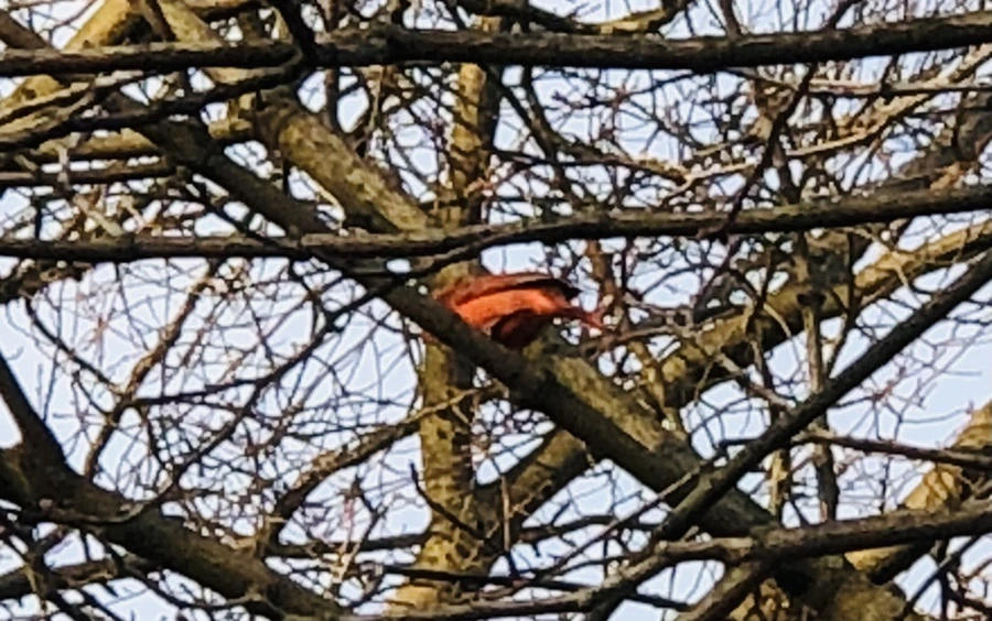 IMG_4646.jpg?type=w966