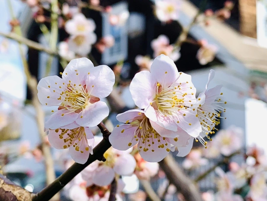 IMG_0978.jpg?type=w966