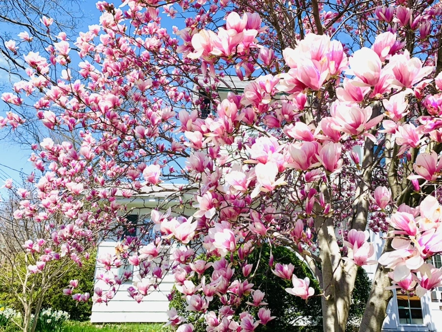 IMG_8571.jpg?type=w966