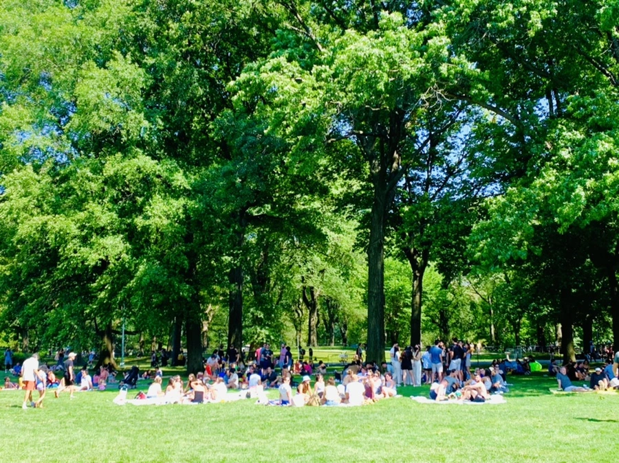 IMG_4380.jpg?type=w966