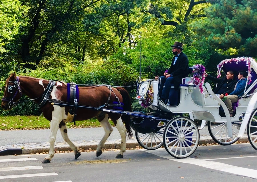 IMG_2137.jpg?type=w966