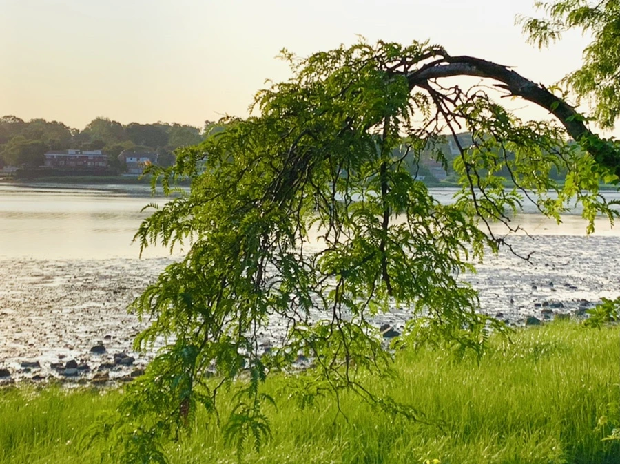 IMG_9794.jpg?type=w966