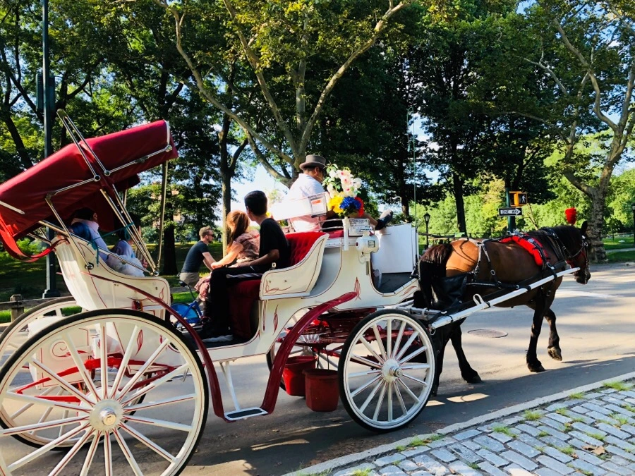 IMG_1052.jpg?type=w966