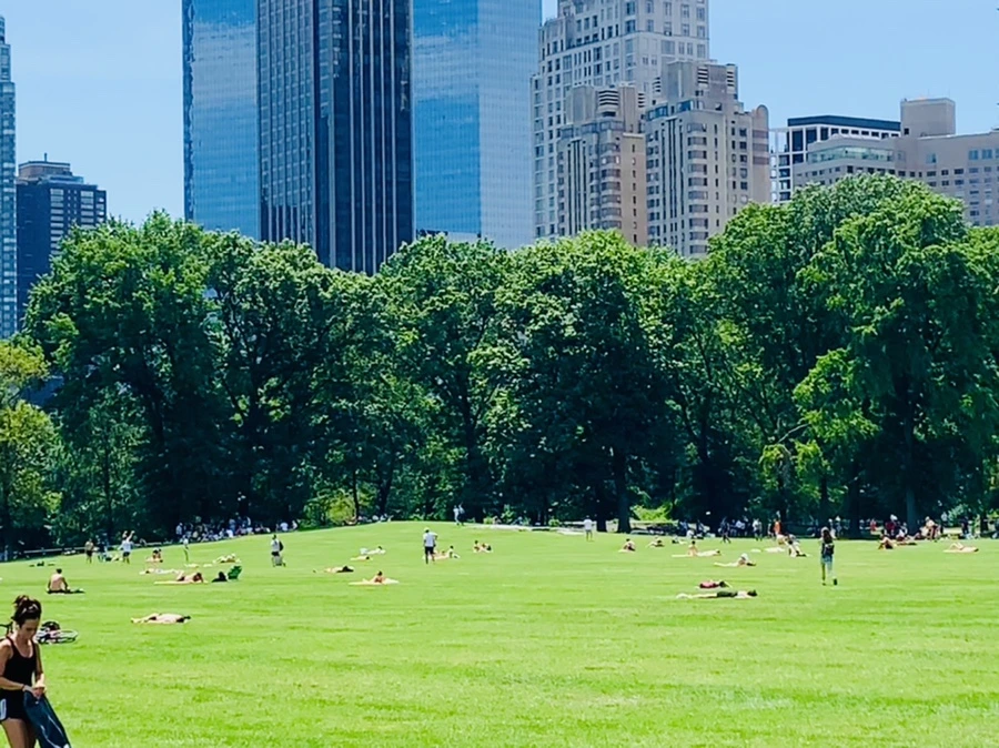 IMG_4946.jpg?type=w966