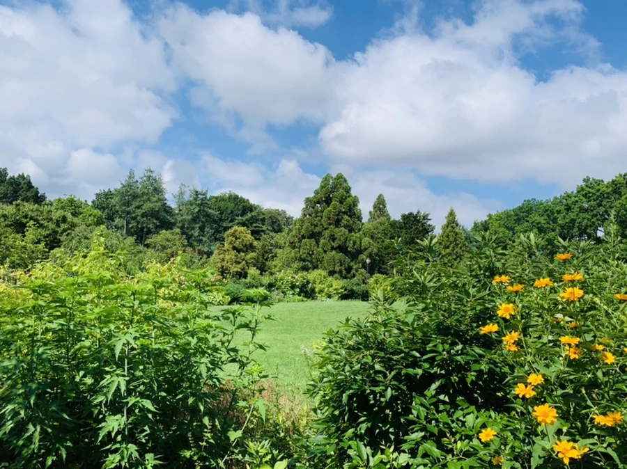 IMG_0599.jpg?type=w966