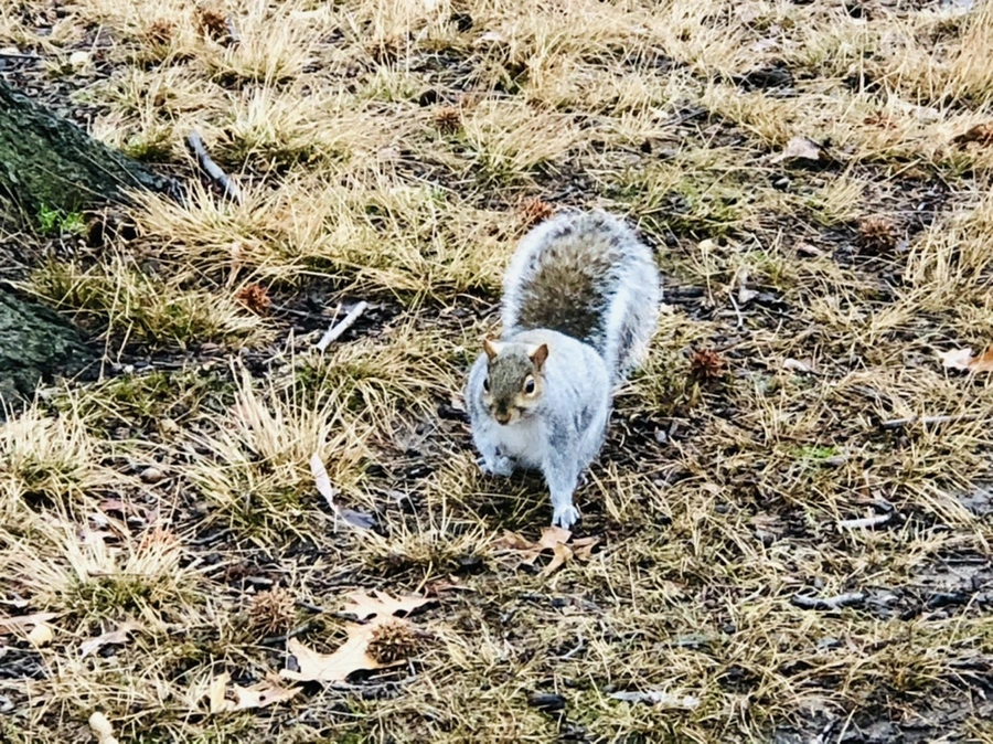 IMG_9553.jpg?type=w966