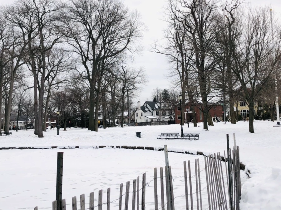 IMG_2460.jpg?type=w966