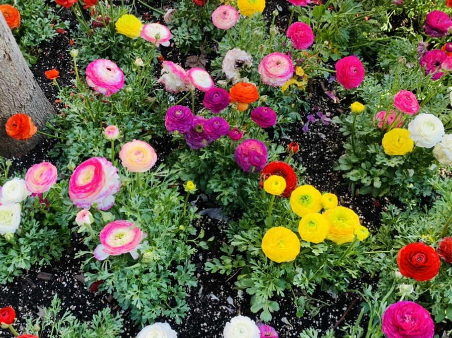 IMG_5407.jpg?type=w966