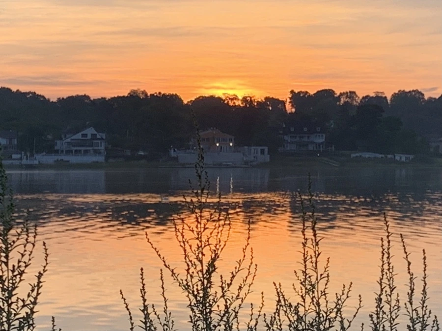 IMG_6805.jpg?type=w966