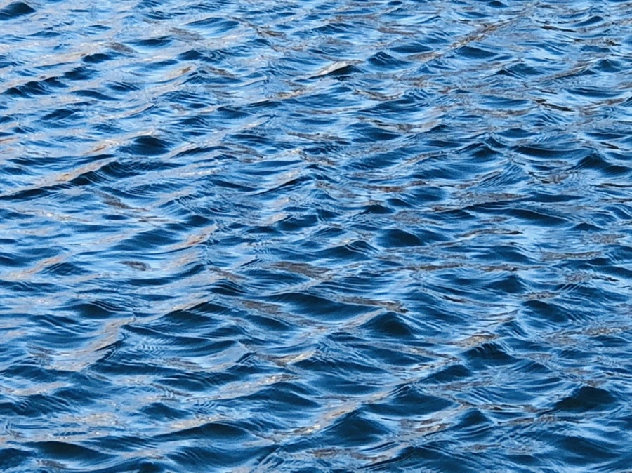 IMG_3826.jpg?type=w966