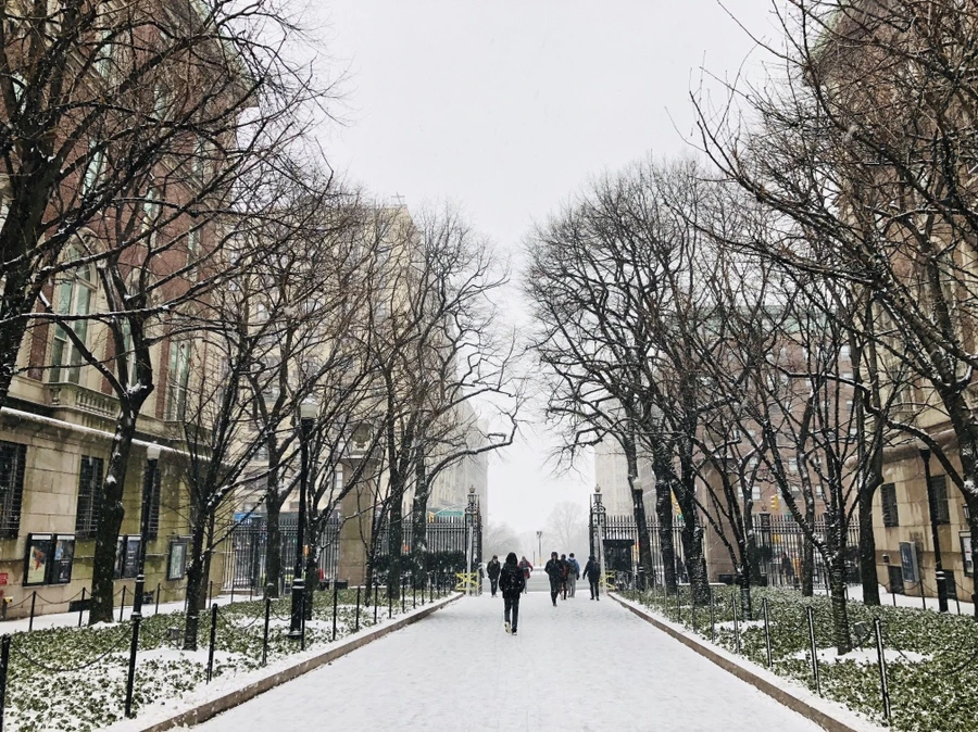 IMG_9550.jpg?type=w966