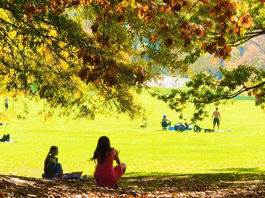 IMG_4343.jpg?type=w966