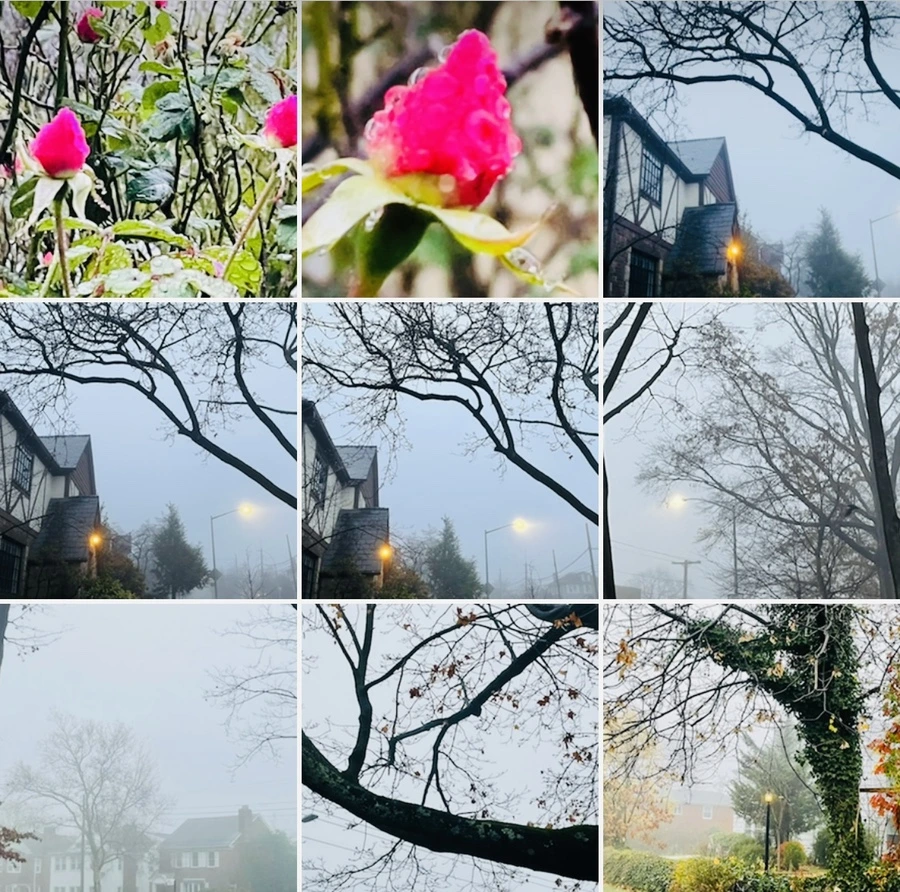 IMG_6436.jpg?type=w966