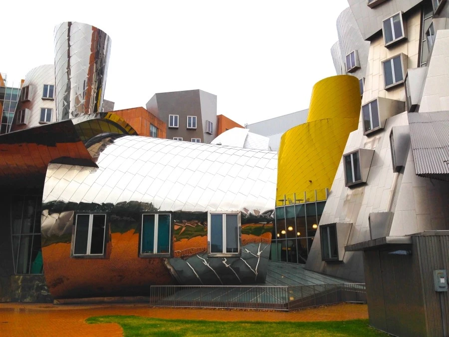 IMG_0713.JPG?type=w1