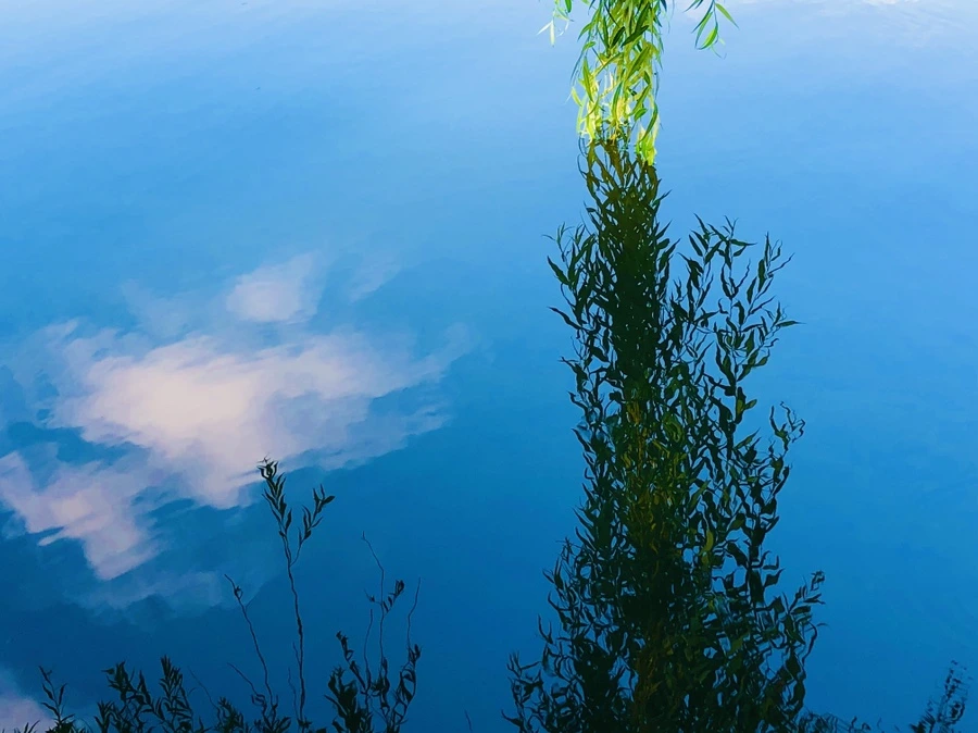 IMG_2876.jpg?type=w966