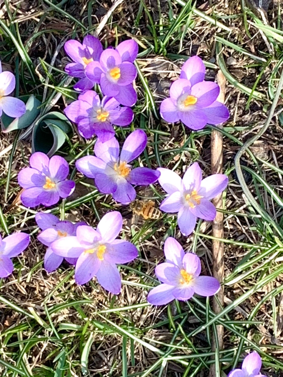 IMG_0217.jpg?type=w966