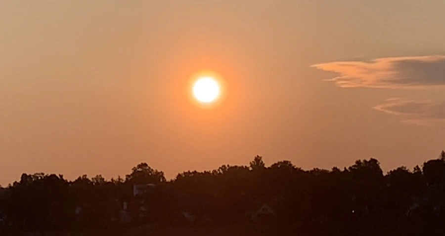 IMG_9556.jpg?type=w966