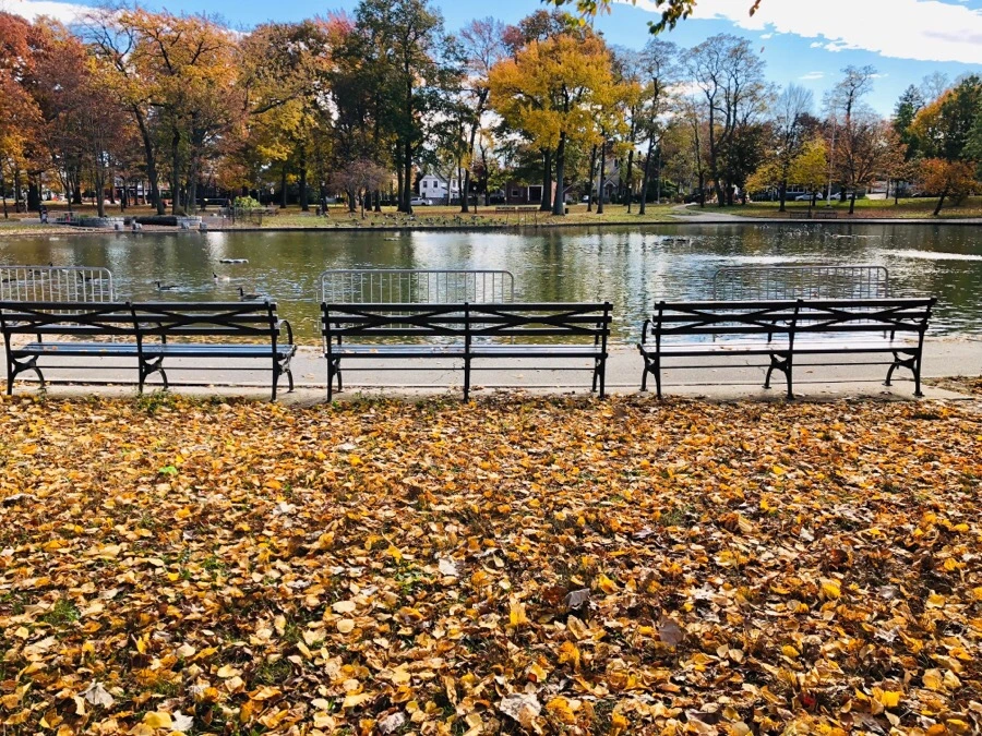 IMG_7494.jpg?type=w966