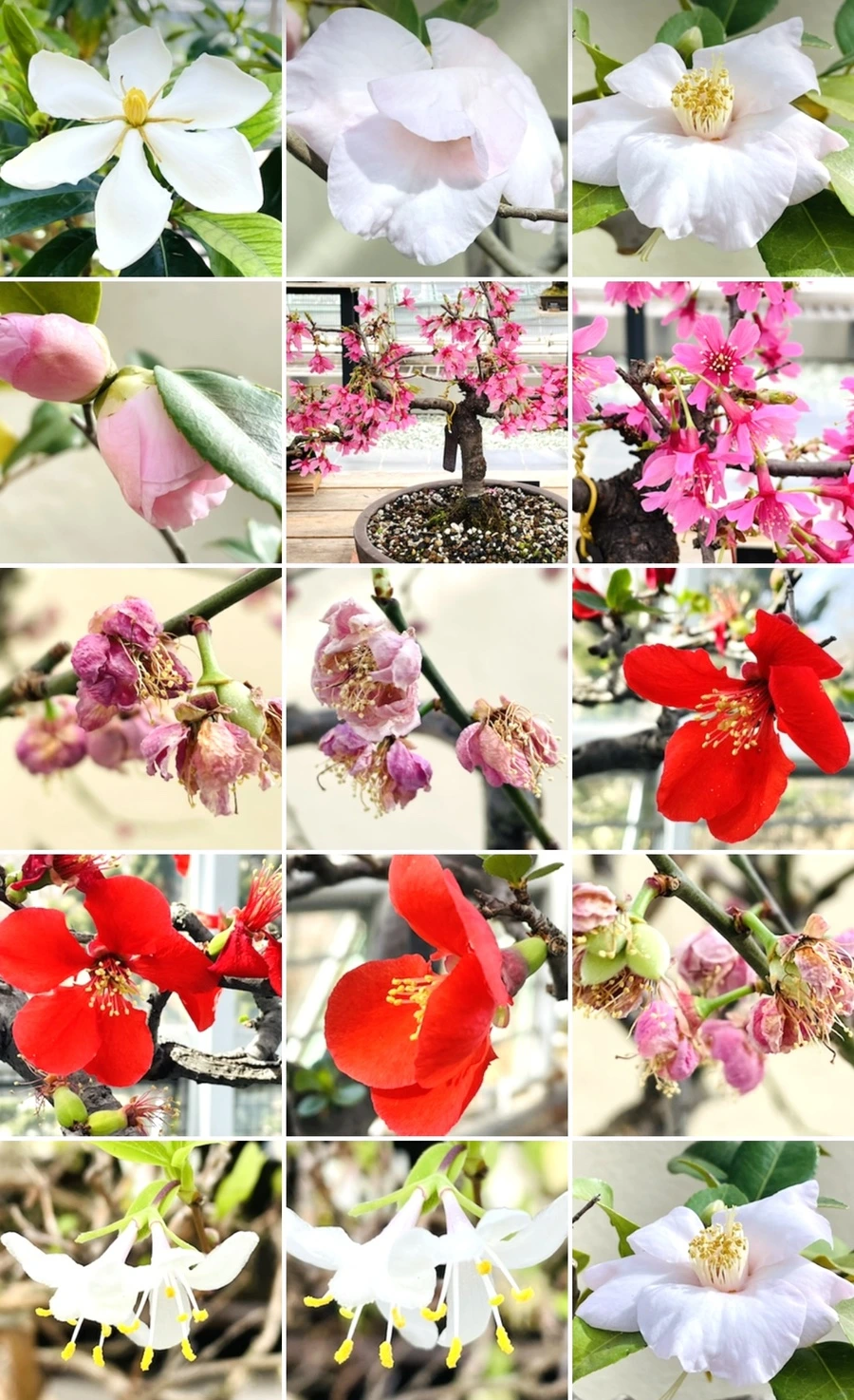 IMG_4260.jpg?type=w966