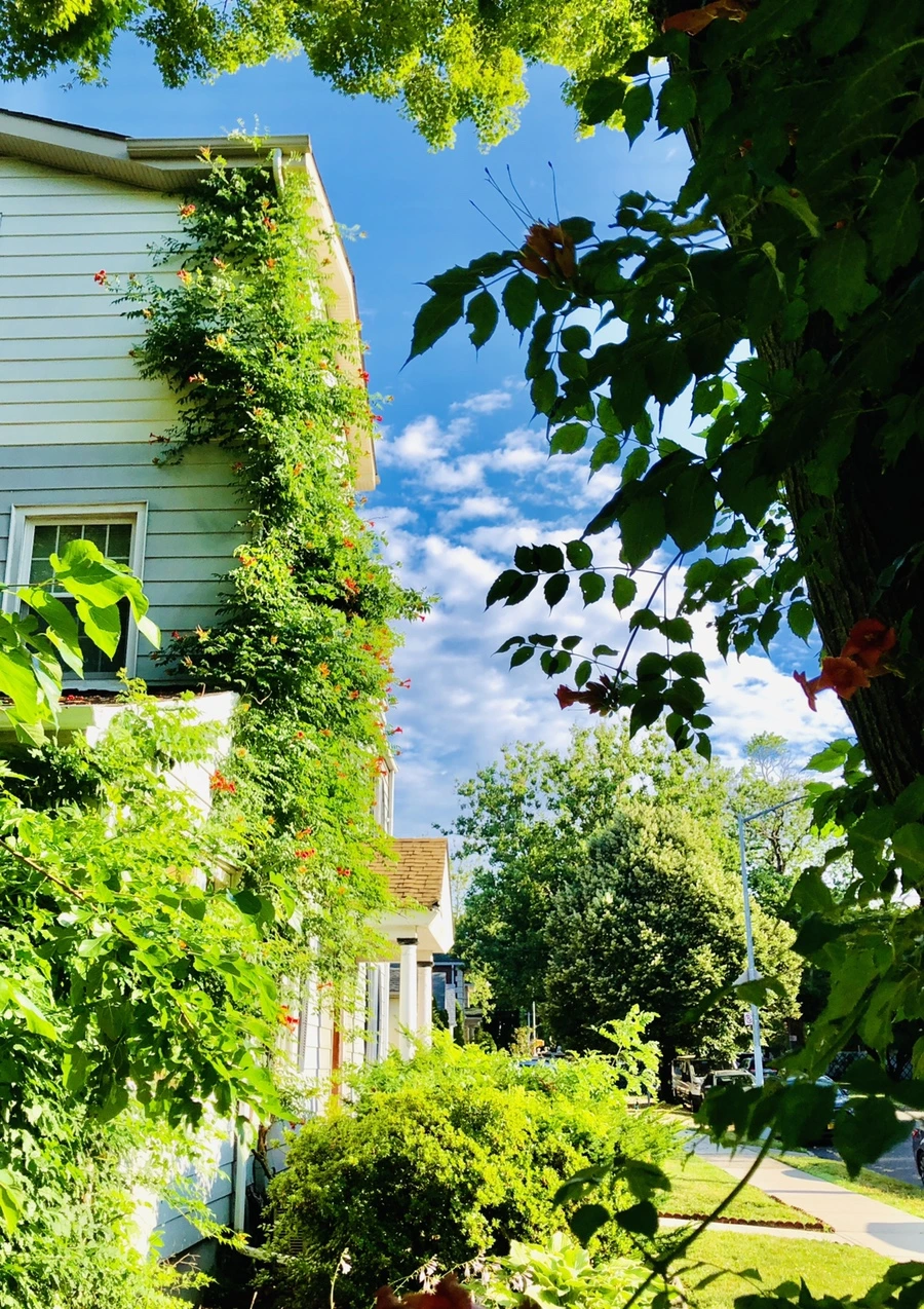 IMG_2125.jpg?type=w966