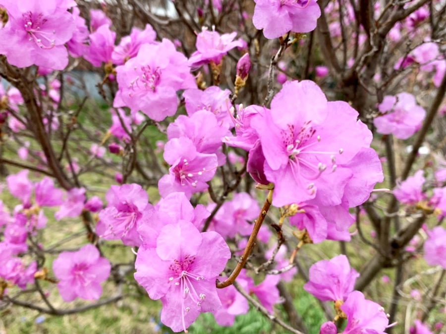 IMG_4678.jpg?type=w966