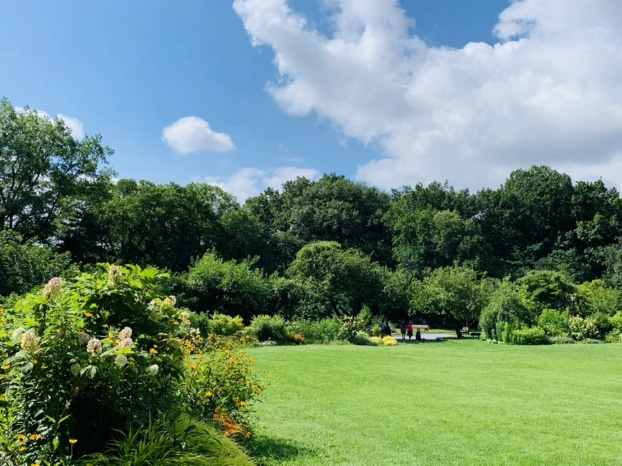 IMG_0604.jpg?type=w966