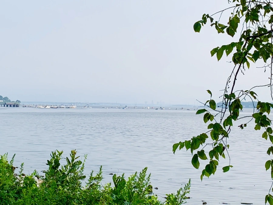 IMG_2277.jpg?type=w966