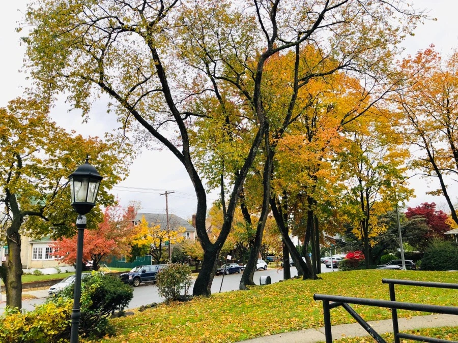 IMG_7432.jpg?type=w966