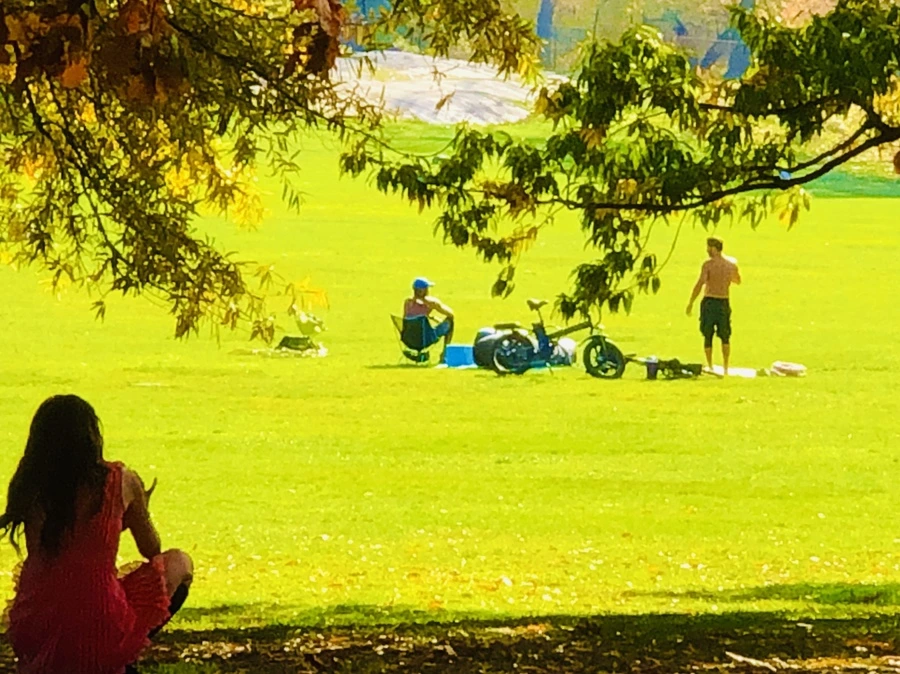 IMG_4344.JPG?type=w966