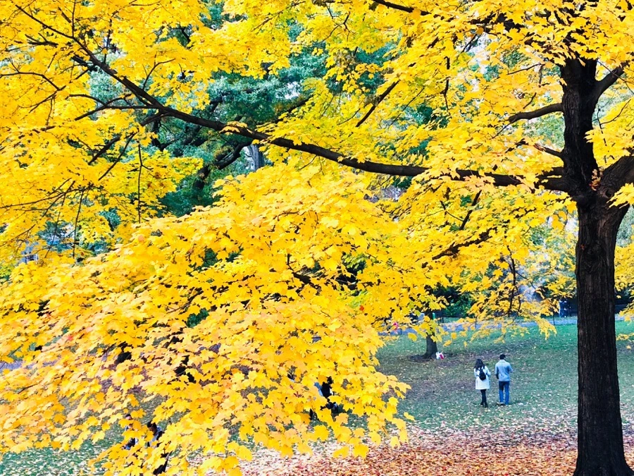 IMG_7342.jpg?type=w966