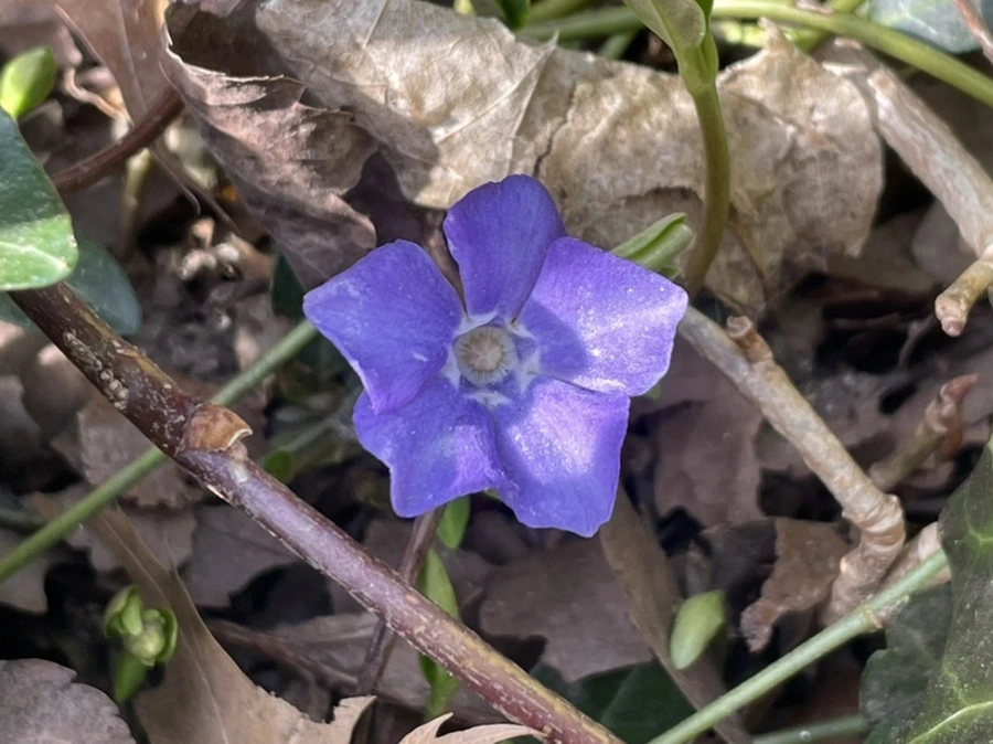 IMG_5388.jpg?type=w966