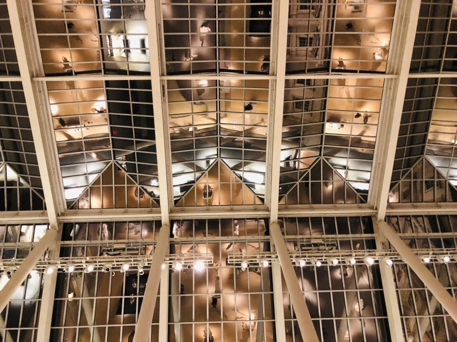 IMG_5049.jpg?type=w966