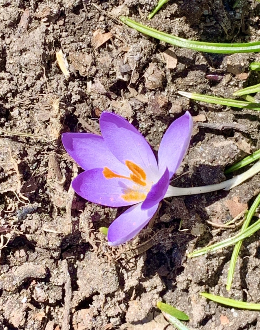 IMG_8216.jpg?type=w966