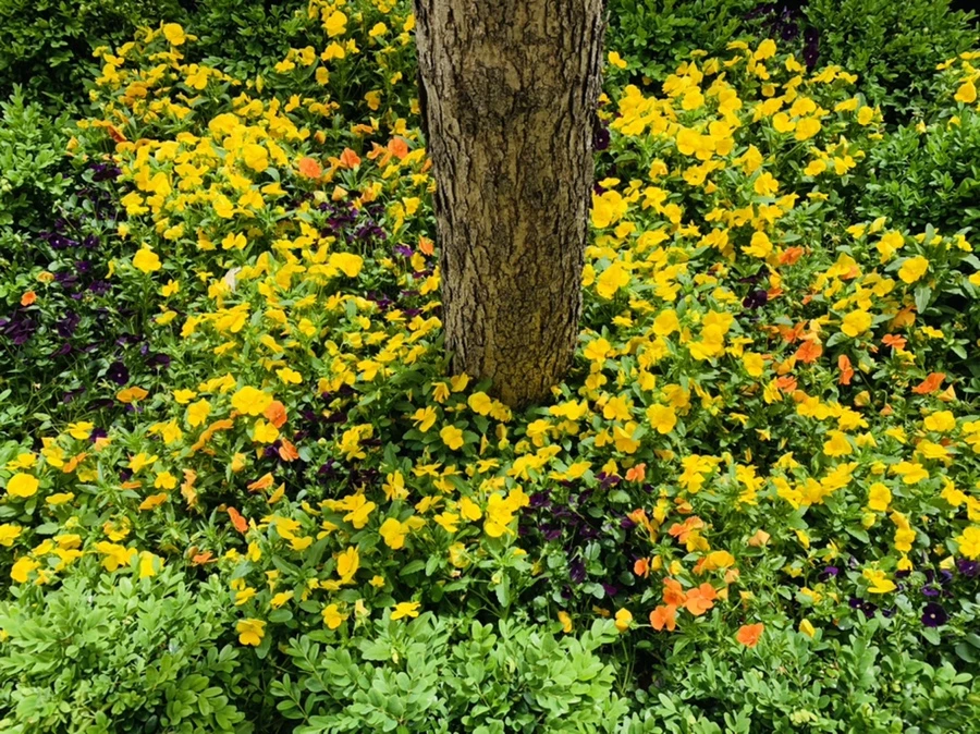 IMG_6387.jpg?type=w966