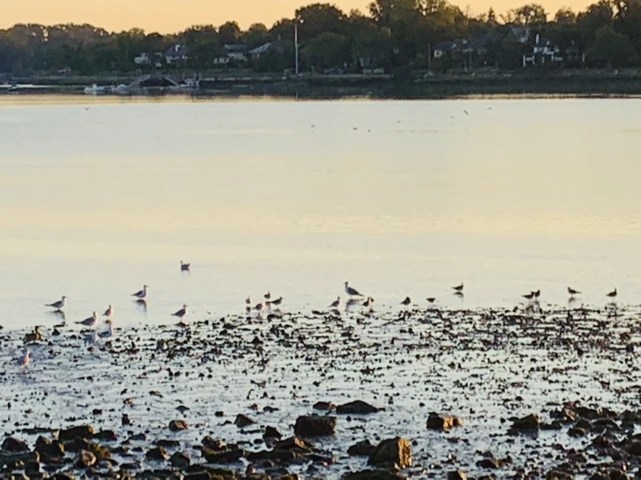 IMG_8621.jpg?type=w966