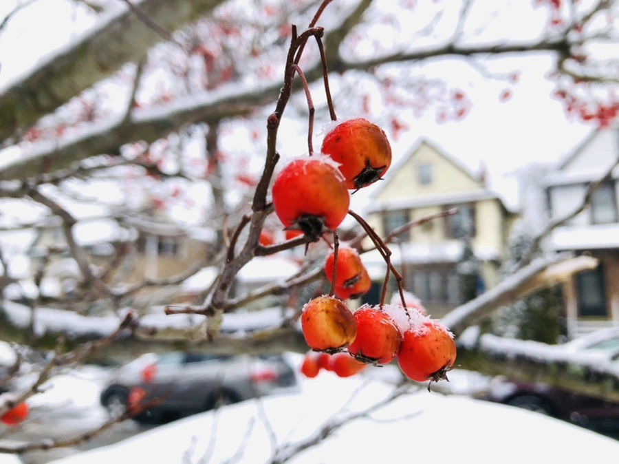 IMG_3476.jpg?type=w966