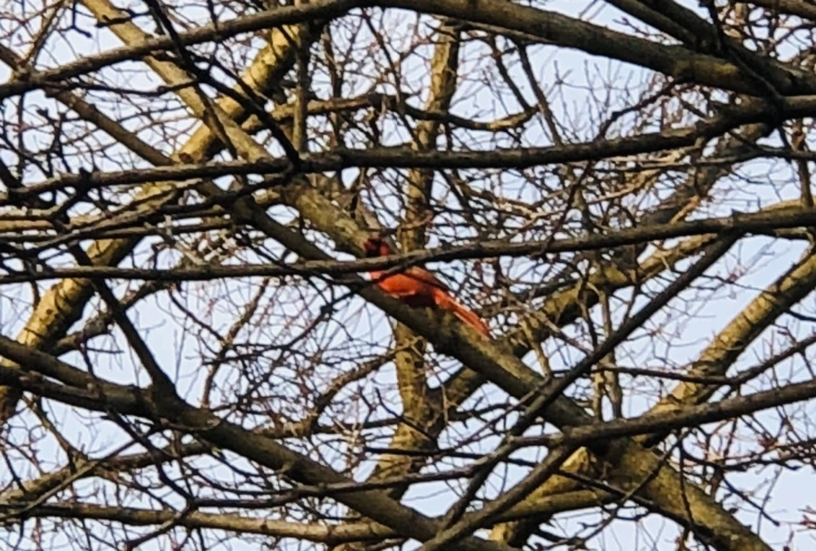 IMG_4647.jpg?type=w966