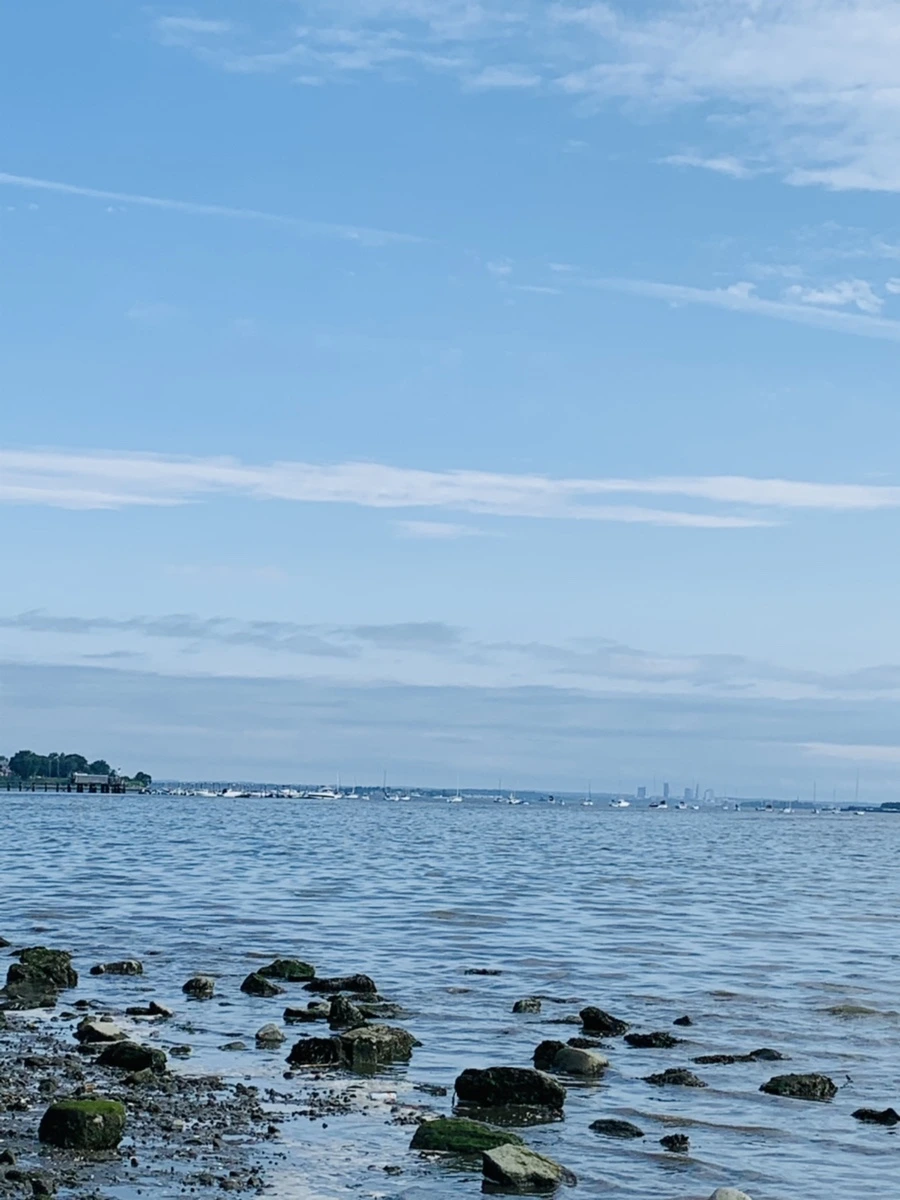 IMG_3235.jpg?type=w966