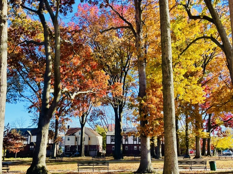 IMG_4675.jpg?type=w966