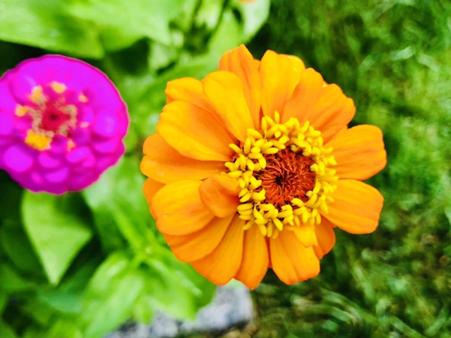 IMG_1605.jpg?type=w966