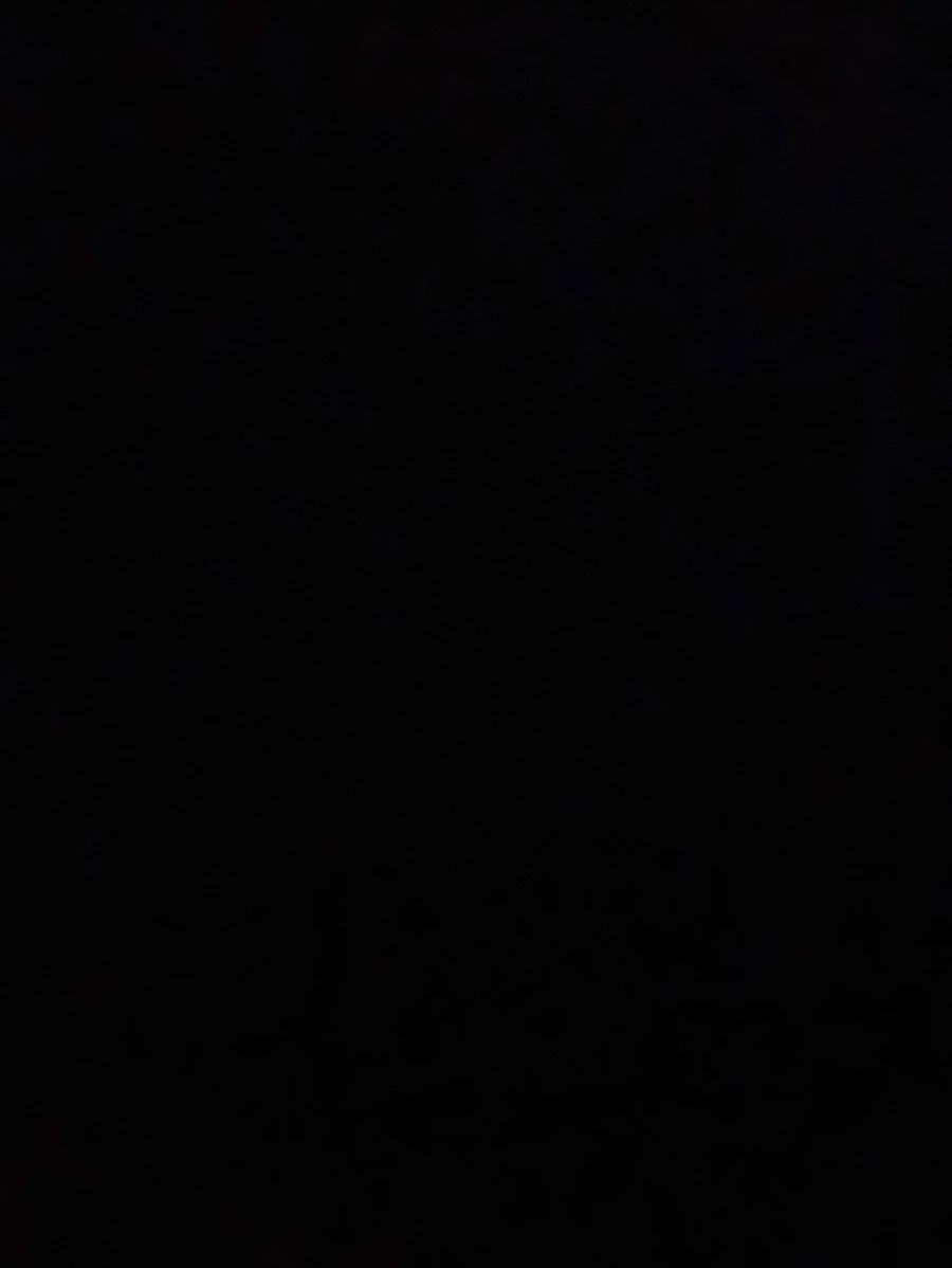 IMG_0098.jpg?type=w966